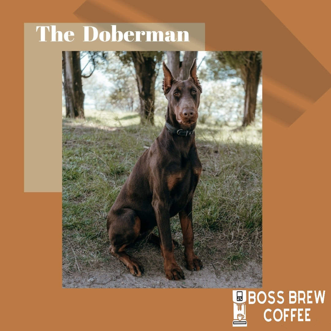 The Doberman