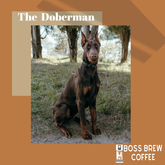 The Doberman